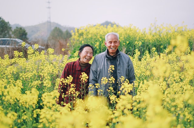 老人-油菜花-jaddy-liu-nk-xUZwSjR4-unsplash.jpg