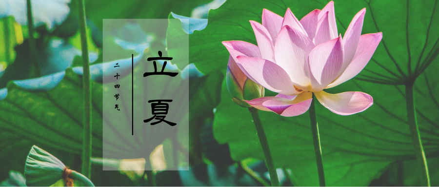 立夏-微信公众号封面.png