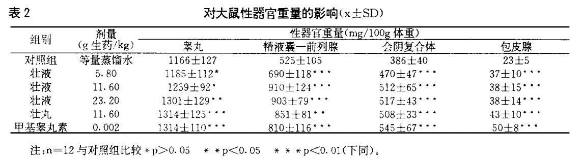 002大鼠性器官.png