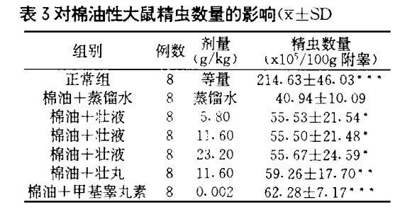 003大鼠精虫.png