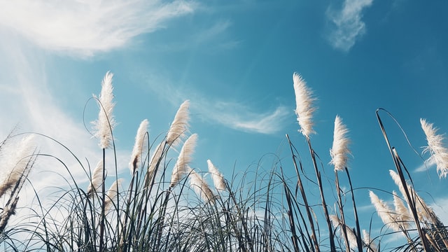 夏天-天空-vlad-kutepov-5paRSKtn6rc-unsplash.jpg