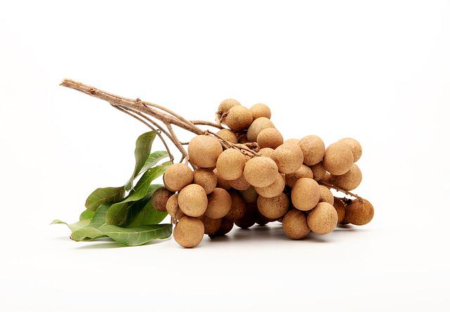 龙眼-longan-g49c9b436b_640.jpg